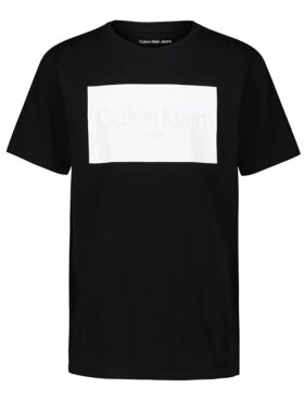 Αγόρια Ck Logo Block Crewneck Tee