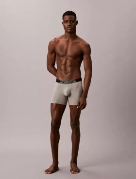 Boxer Brief Intense Power Motion