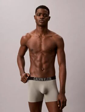 Boxer Brief Intense Power Motion