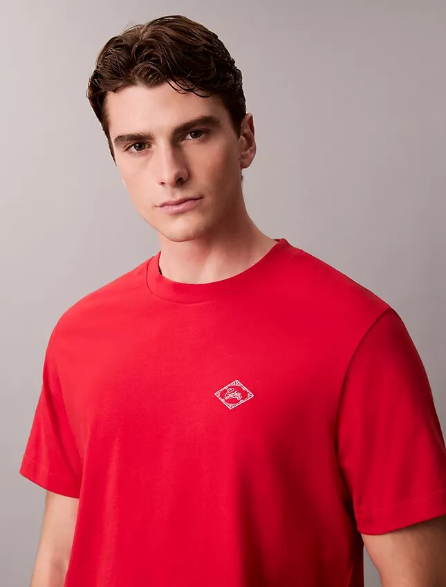 Χαλαρό T-shirt με γραφικό λογότυπο Matchbox Χαλαρό T-shirt με γραφικό λογότυπο Matchbox