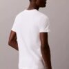 Cotton Classics Σετ 3 κλασικών T-shirt με στρογγυλό λαιμό Cotton Classics Σετ 3 κλασικών T-shirt με στρογγυλό λαιμό