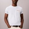 Diner Calvin Klein Graphic Logo Tee