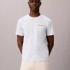 Diner Calvin Klein Graphic Logo Tee