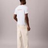Diner Calvin Klein Graphic Logo Tee