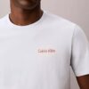 Diner Calvin Klein Graphic Logo Tee