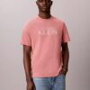 Φαρδύ T-shirt με γραφικό λογότυπο Φαρδύ T-shirt με γραφικό λογότυπο
