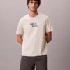 Φαρδύ T-shirt με γραφικό λογότυπο 1989