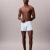 Icon Cotton Stretch 5-Pack Boxer Brief