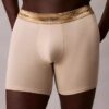 Icon Cotton Stretch Boxer Brief περιορισμένης έκδοσης