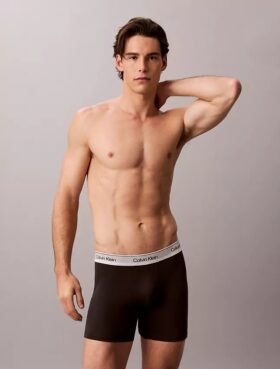 Icon Cotton Stretch Metallic 3-Pack Boxer Brief