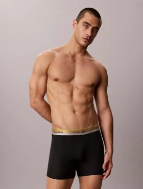 Icon Cotton Stretch Pride Boxer Brief