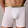 Icon Cotton Stretch Pride Boxer Brief