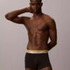 Icon Cotton Stretch Pride Boxer Trunk
