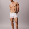 Icon Cotton Stretch Pride Boxer Trunk