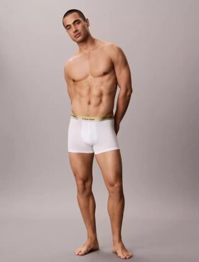 Icon Cotton Stretch Pride Boxer Trunk
