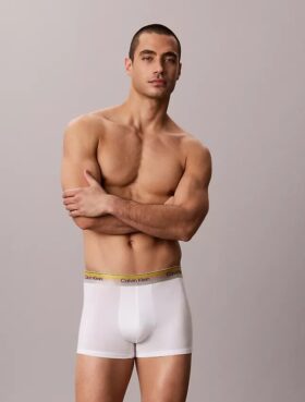 Icon Cotton Stretch Pride Boxer Trunk