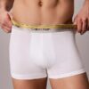 Icon Cotton Stretch Pride Boxer Trunk