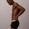 Icon Cotton Stretch Pride Boxer Trunk