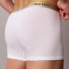 Icon Cotton Stretch Pride Boxer Trunk