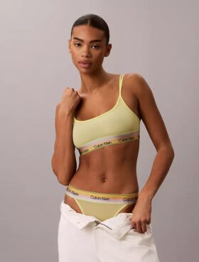 Icon Mesh Pride Bralette Unlined