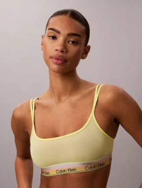 Icon Mesh Pride Bralette Unlined