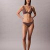 Ιδανικό μικρό Bikini Ιδανικό μικρό Bikini