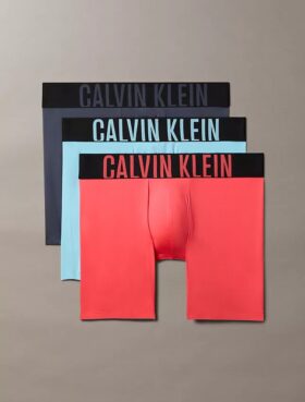 Intense Power Micro 3-Pack Boxer Brief
