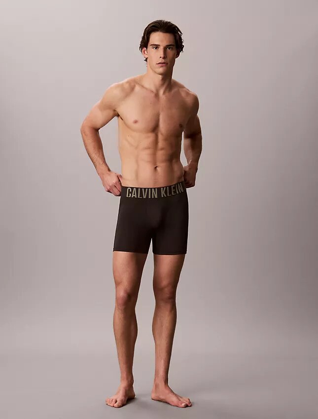 Intense Power Micro 3-Pack Boxer Brief Intense Power Micro 3-Pack Boxer Brief