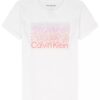 Κλασικό κλασικό T-shirt με γραφικό λογότυπο Ombre για κορίτσια