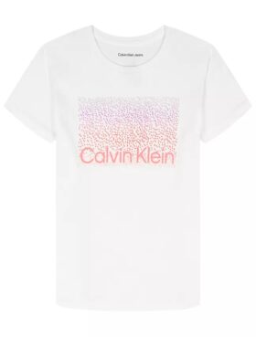 Κλασικό κλασικό T-shirt με γραφικό λογότυπο Ombre για κορίτσια