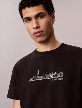 Κλασικό T-shirt με γραφικό City Skyline