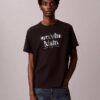 Κλασικό T-shirt με γραφικό λογότυπο σε σκιώδη απόδοση Κλασικό T-shirt με γραφικό λογότυπο σε σκιώδη απόδοση