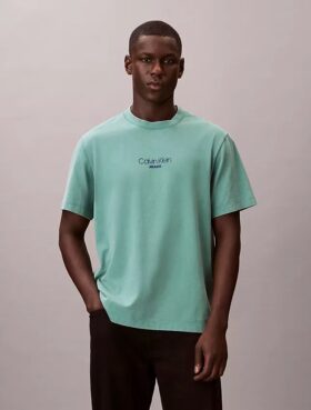 Κλασικό T-shirt με λογότυπο και εφέ acid wash