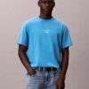 Κλασικό T-shirt με λογότυπο και εφέ acid wash