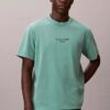 Κλασικό T-shirt με λογότυπο και εφέ acid wash
