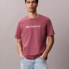 Κλασικό T-shirt με λογότυπο σε μικρά γράμματα Κλασικό T-shirt με λογότυπο σε μικρά γράμματα