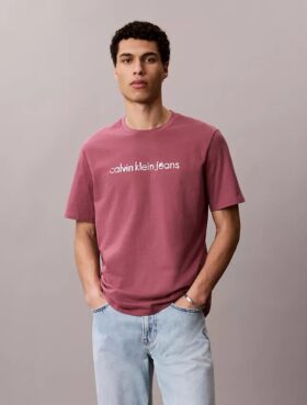Κλασικό T-shirt με λογότυπο σε μικρά γράμματα