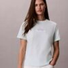 Κλασικό T-shirt με πολυεπίπεδο λογότυπο Κλασικό T-shirt με πολυεπίπεδο λογότυπο