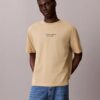 Κλασικό T-shirt με στρογγυλό λαιμό και ξεθωριασμένο λογότυπο