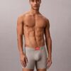 Κλασικό βαμβακερό Boxer Brief με ραβδώσεις