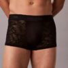 Low Rise Trunk από Microfiber δαντέλα Low Rise Trunk από Microfiber δαντέλα