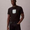 Μοντέρνο μπλουζάκι με γραφικό λογότυπο Calvin Klein