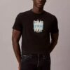 Μοντέρνο μπλουζάκι με γραφικό λογότυπο Calvin Klein