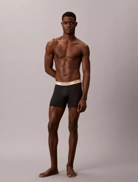Σλιπ Boxer Brief από ελαστική μικροΐνη σε συσκευασία των 3 τεμαχίων