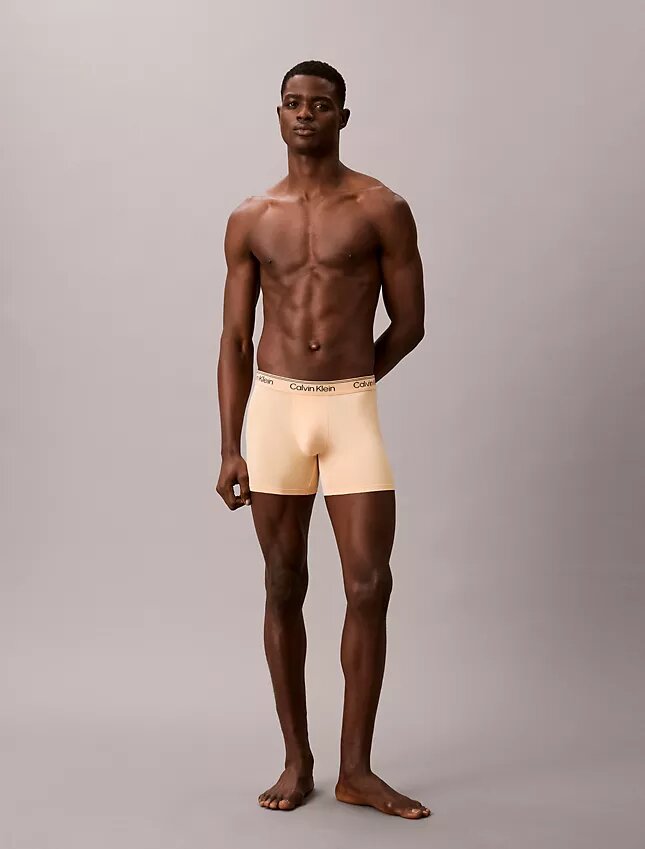 Σλιπ Boxer Brief από ελαστική μικροΐνη σε συσκευασία των 3 τεμαχίων Σλιπ Boxer Brief από ελαστική μικροΐνη σε συσκευασία των 3 τεμαχίων