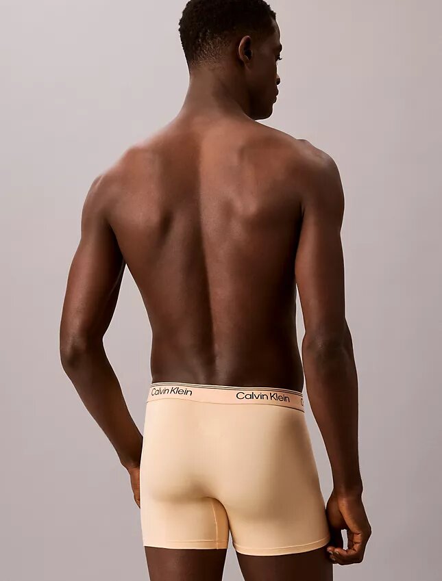 Σλιπ Boxer Brief από ελαστική μικροΐνη σε συσκευασία των 3 τεμαχίων Σλιπ Boxer Brief από ελαστική μικροΐνη σε συσκευασία των 3 τεμαχίων