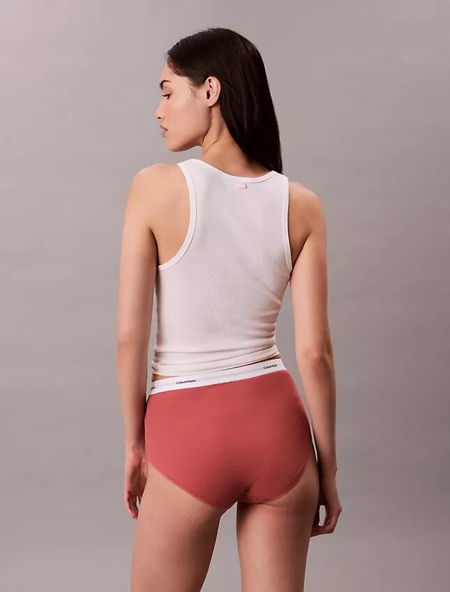 Σλιπ υψηλής μέσης από Cotton Stretch βαμβάκι Σλιπ υψηλής μέσης από Cotton Stretch βαμβάκι