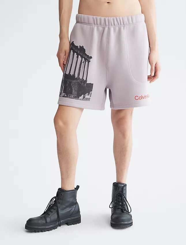 Standards Ruins Graphic Fleece Shorts Standards Ruins Graphic Fleece Shorts