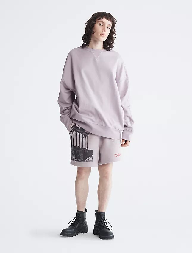Standards Ruins Graphic Fleece Shorts Standards Ruins Graphic Fleece Shorts